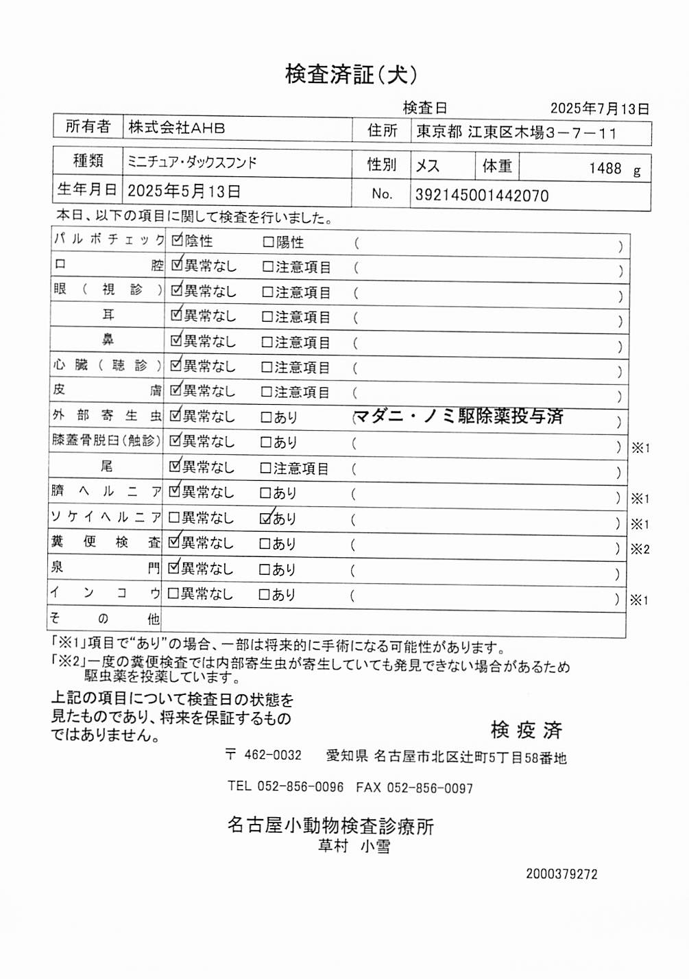 ミニチュア・ダックスフンド