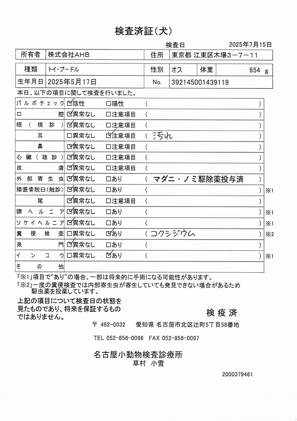 トイ・プードル