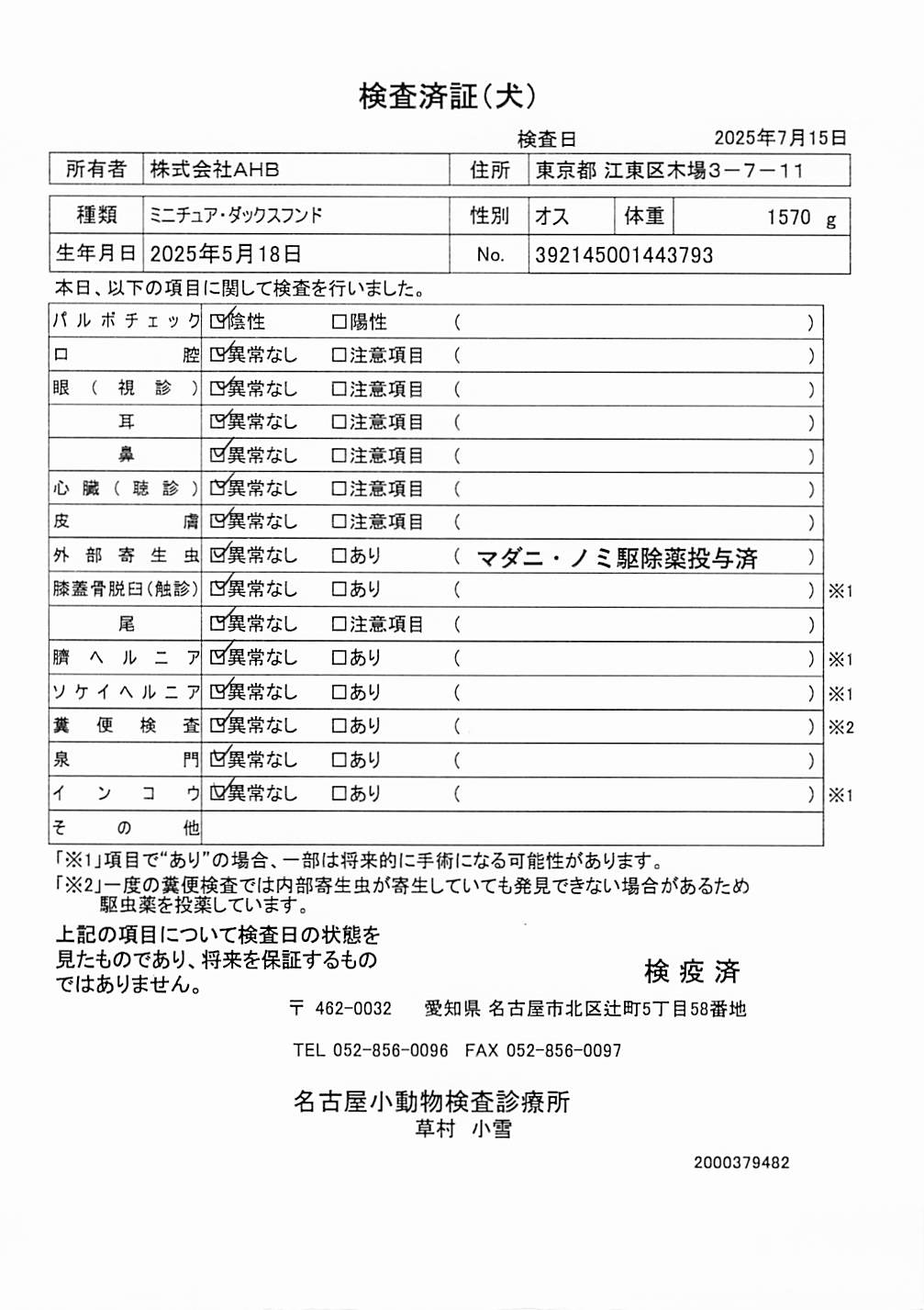 ミニチュア・ダックスフンド
