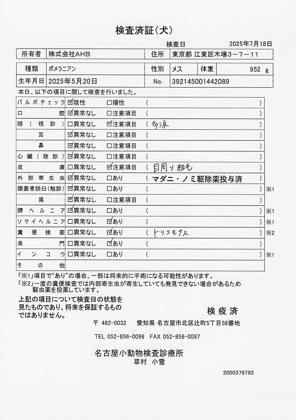 ポメラニアン