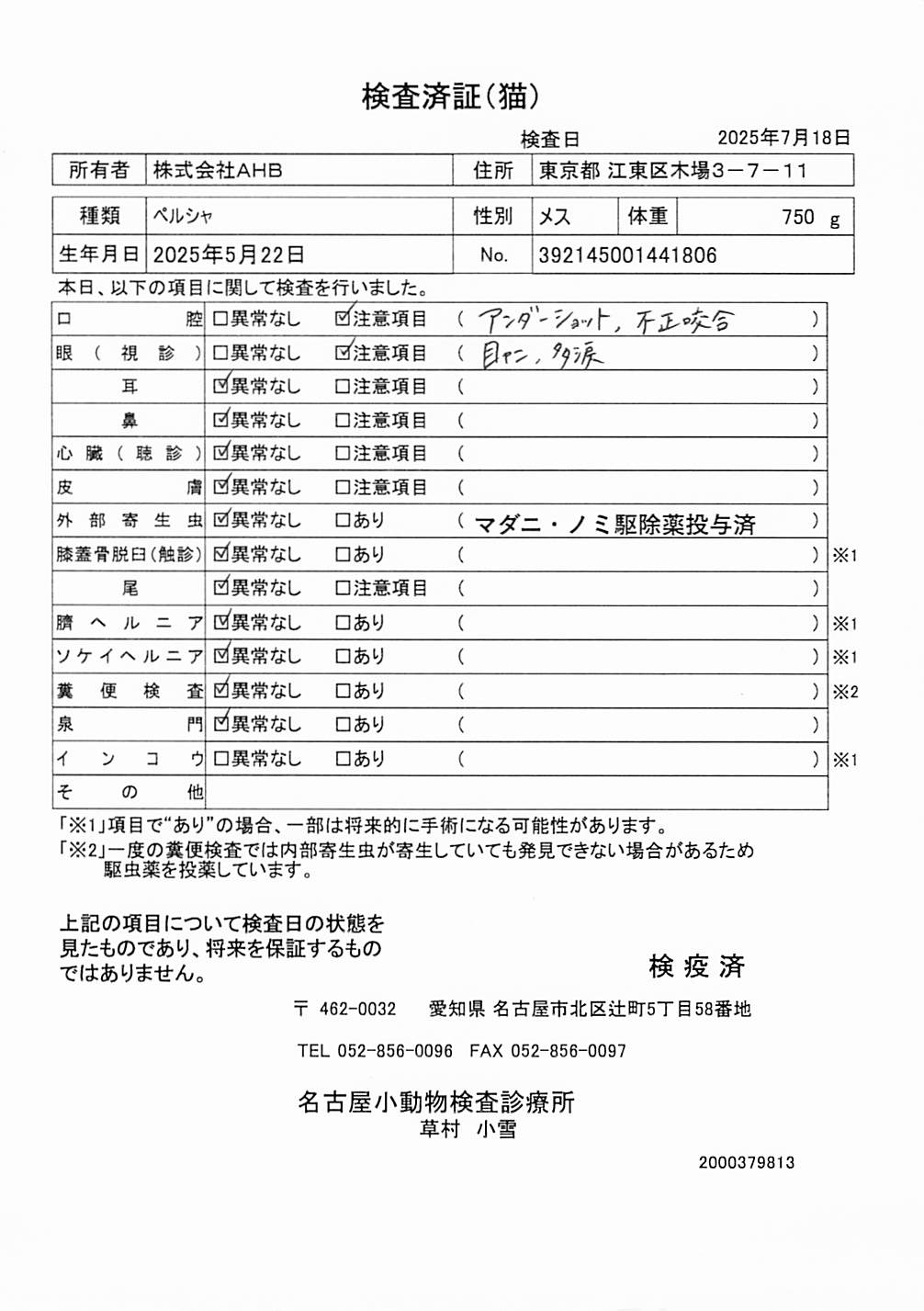 ペルシャ