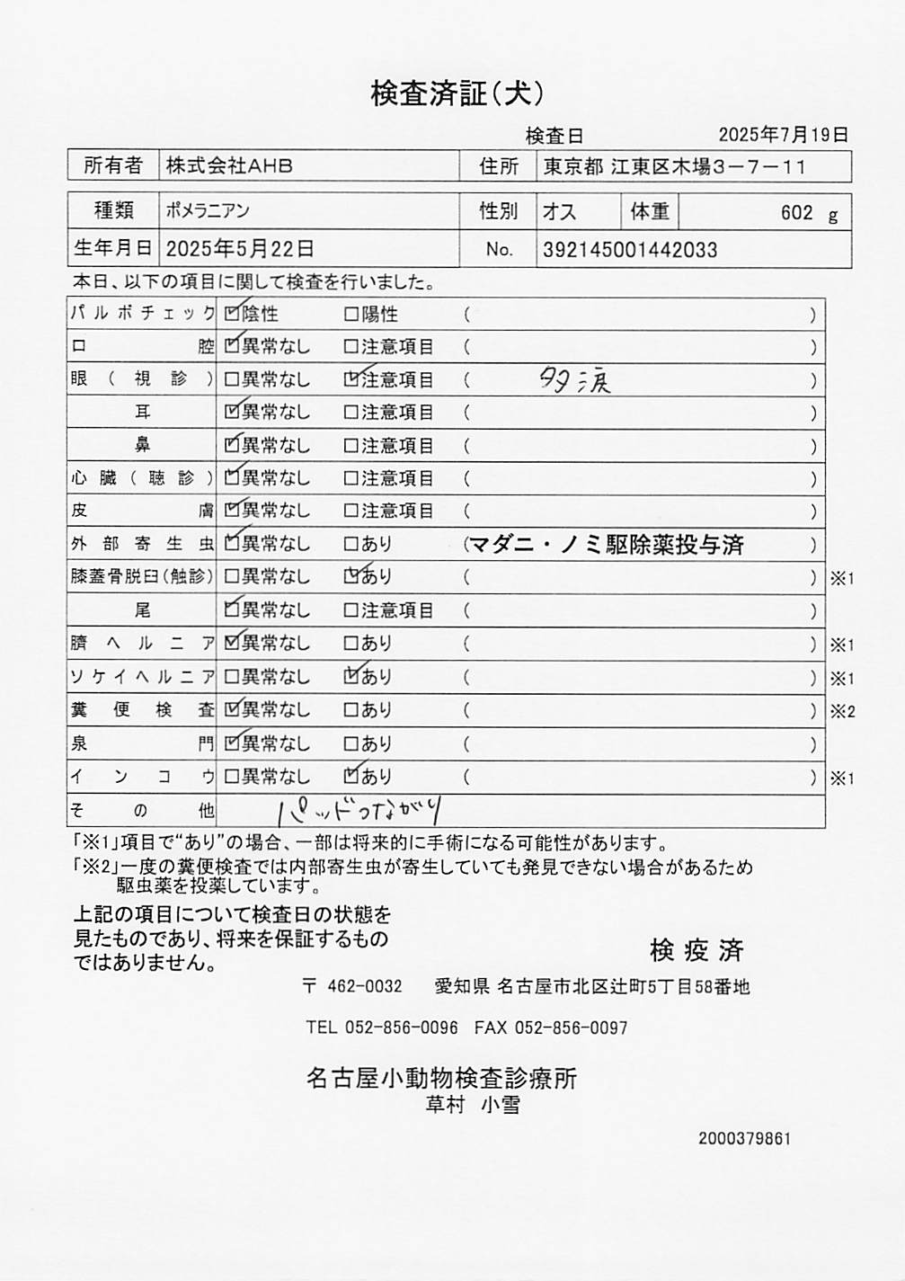 ポメラニアン