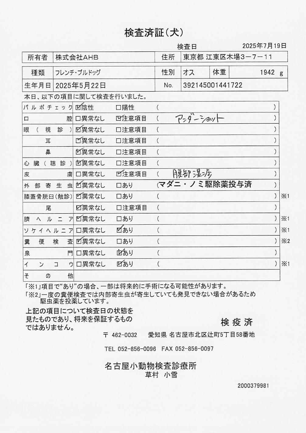 フレンチ・ブルドッグ