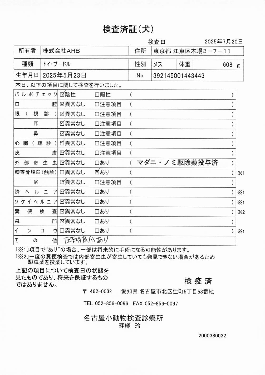 トイ・プードル