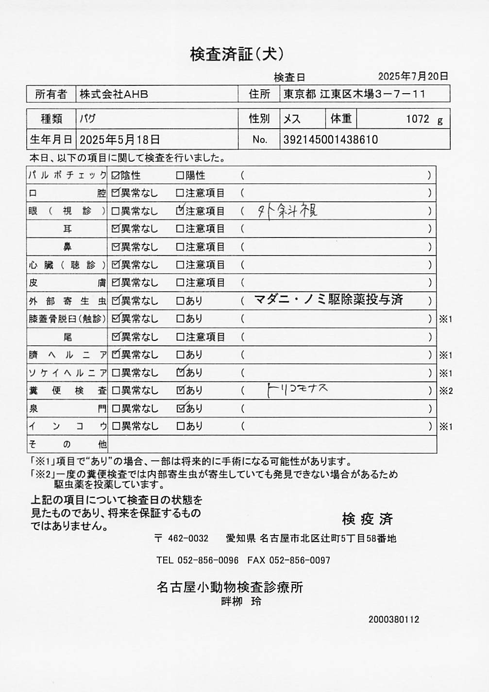 パグ