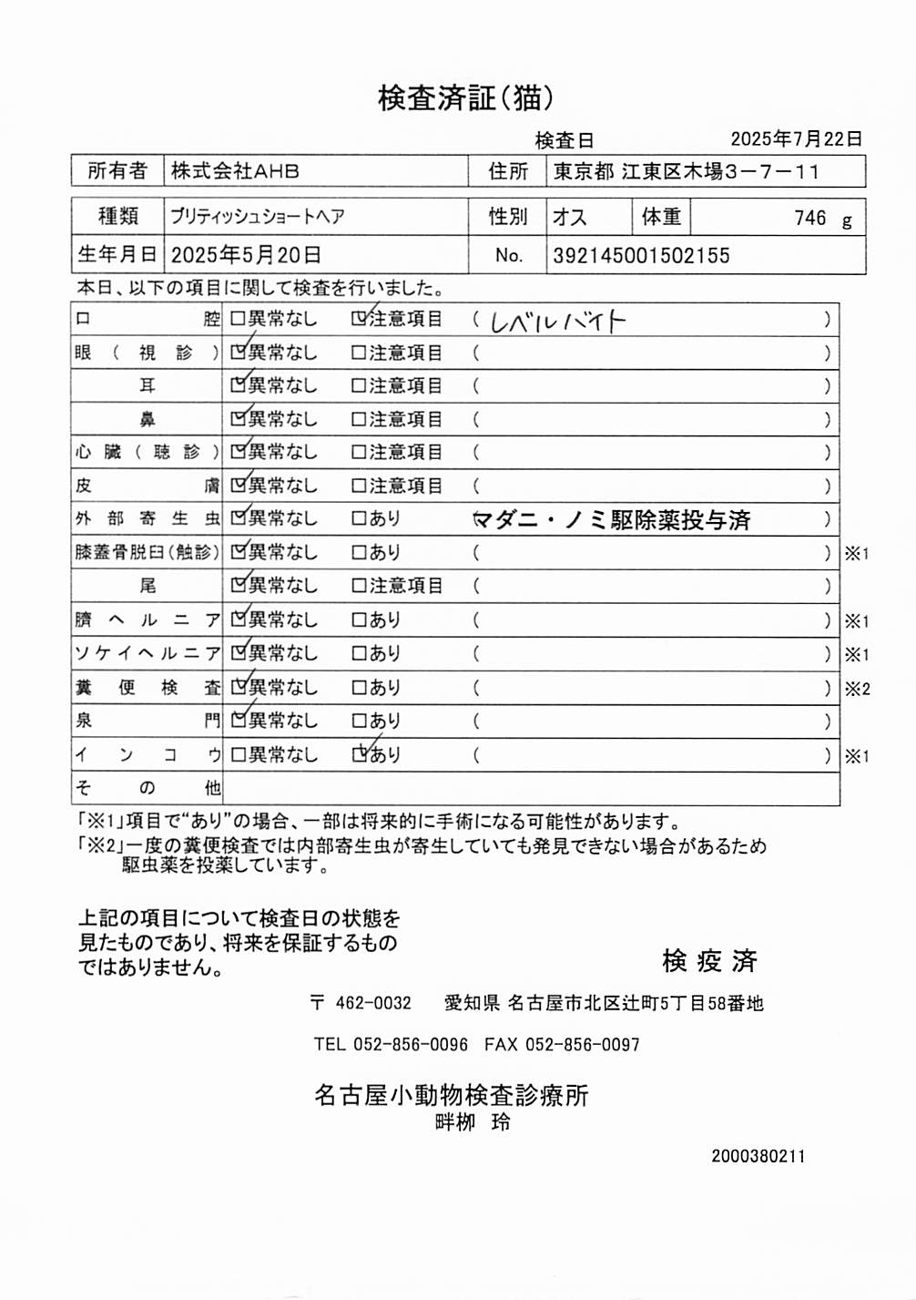 ブリティッシュショートヘア