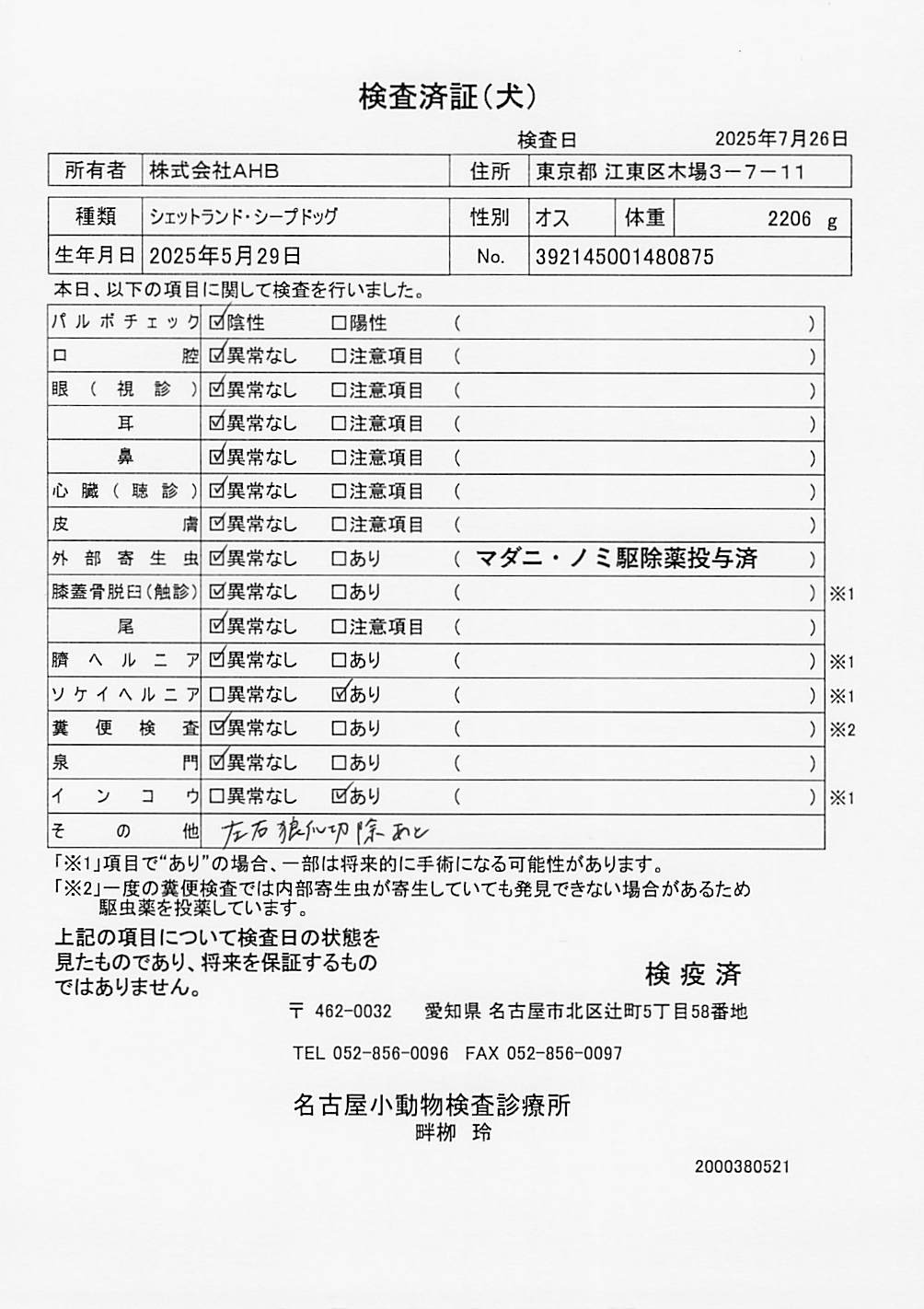 シェットランド・シープドッグ