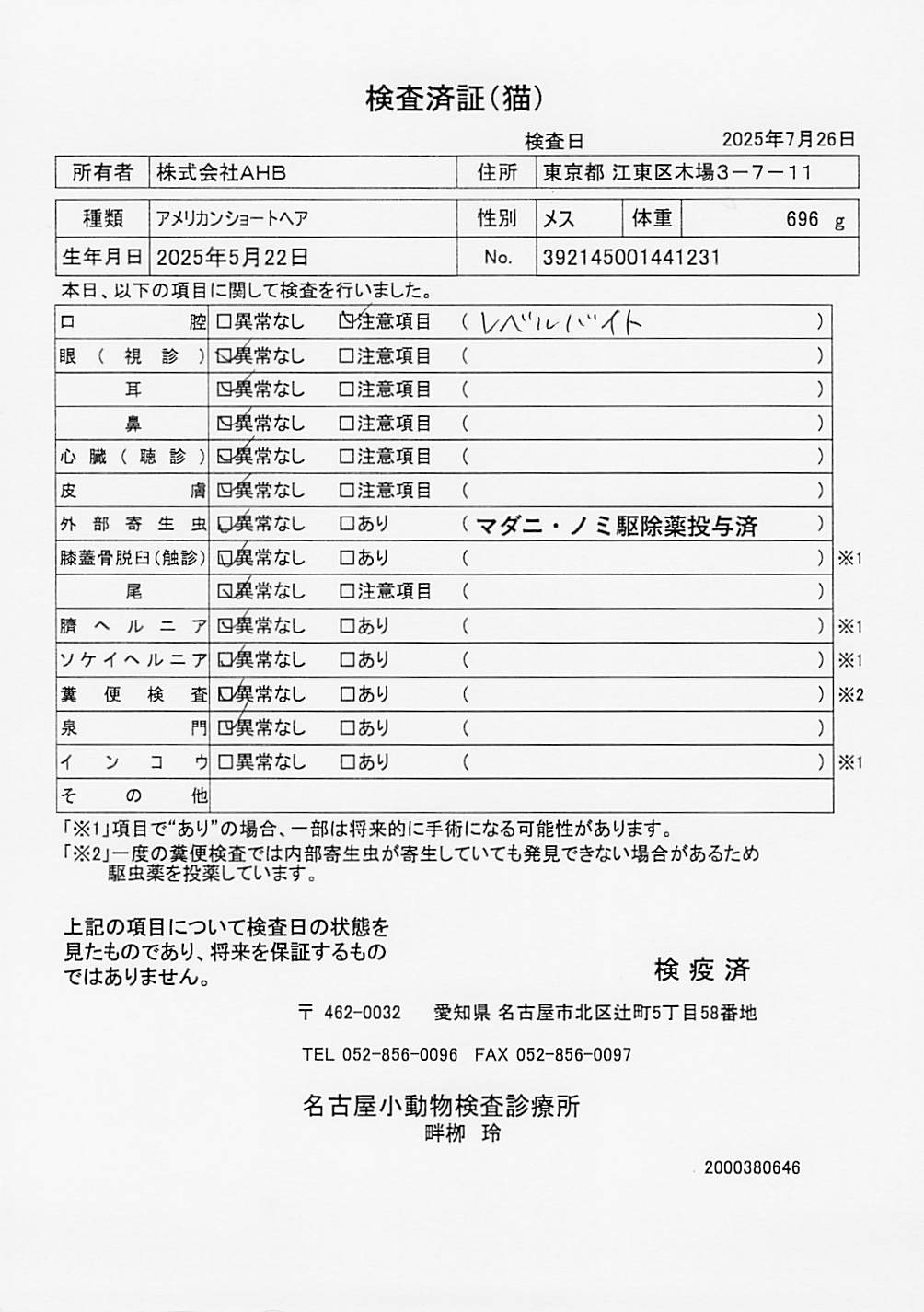 アメリカンショートヘア