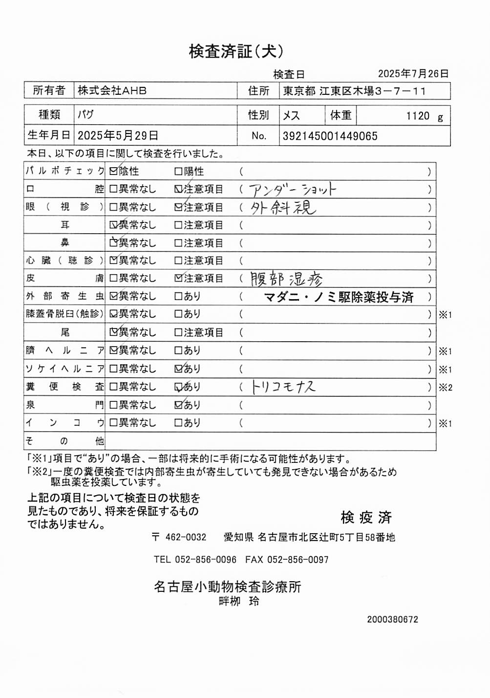 パグ