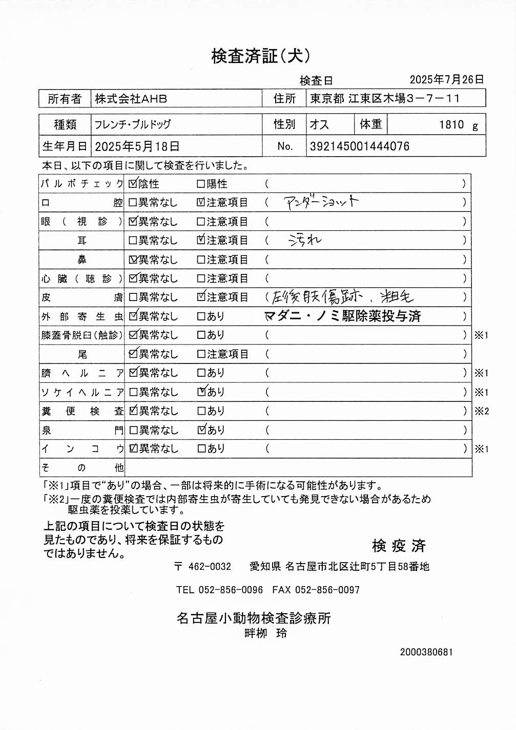 フレンチ・ブルドッグ