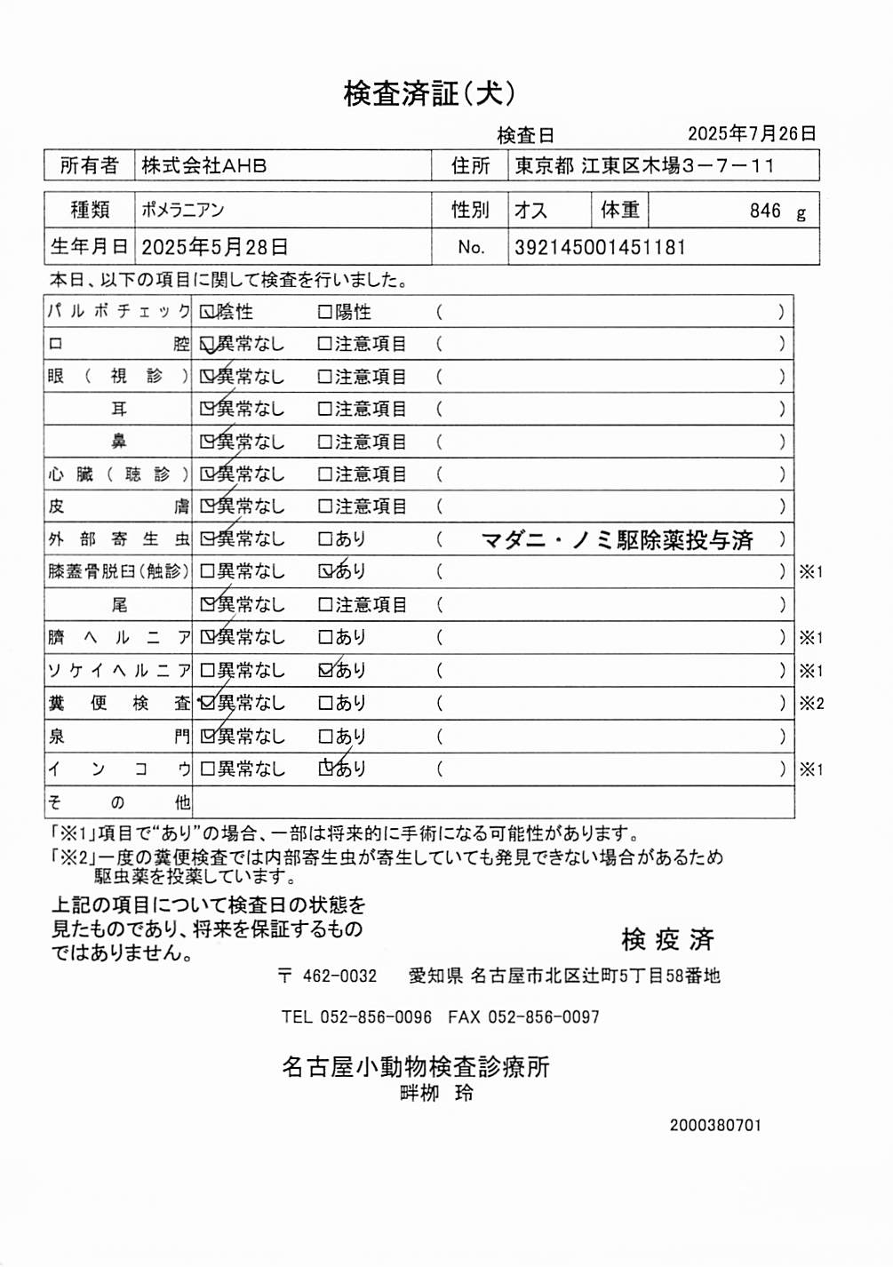 ポメラニアン