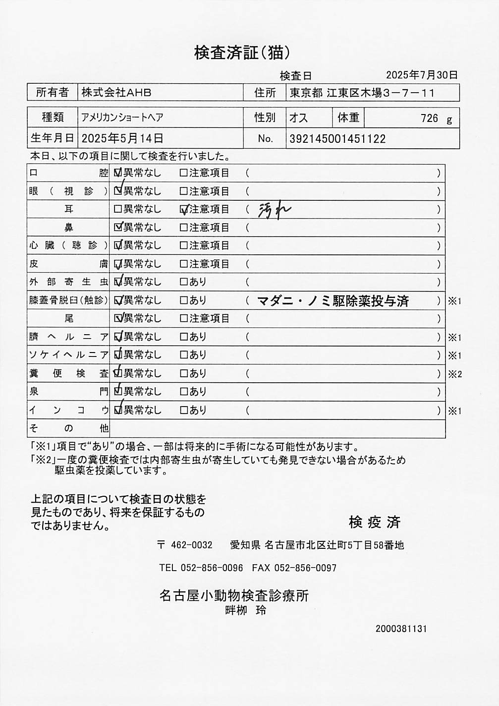アメリカンショートヘア