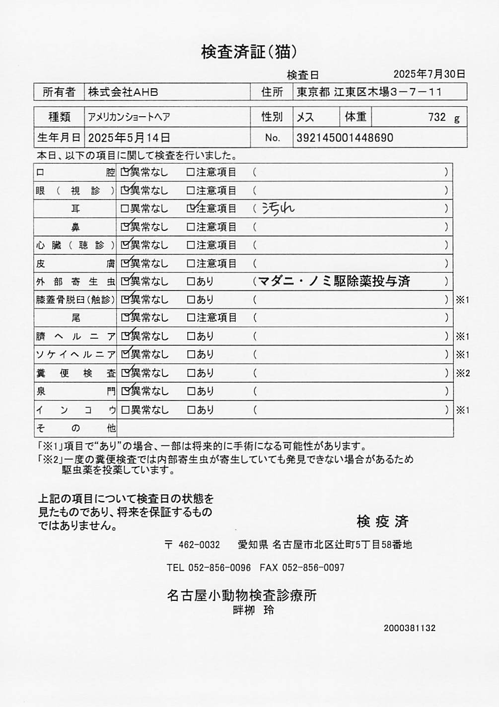 アメリカンショートヘア