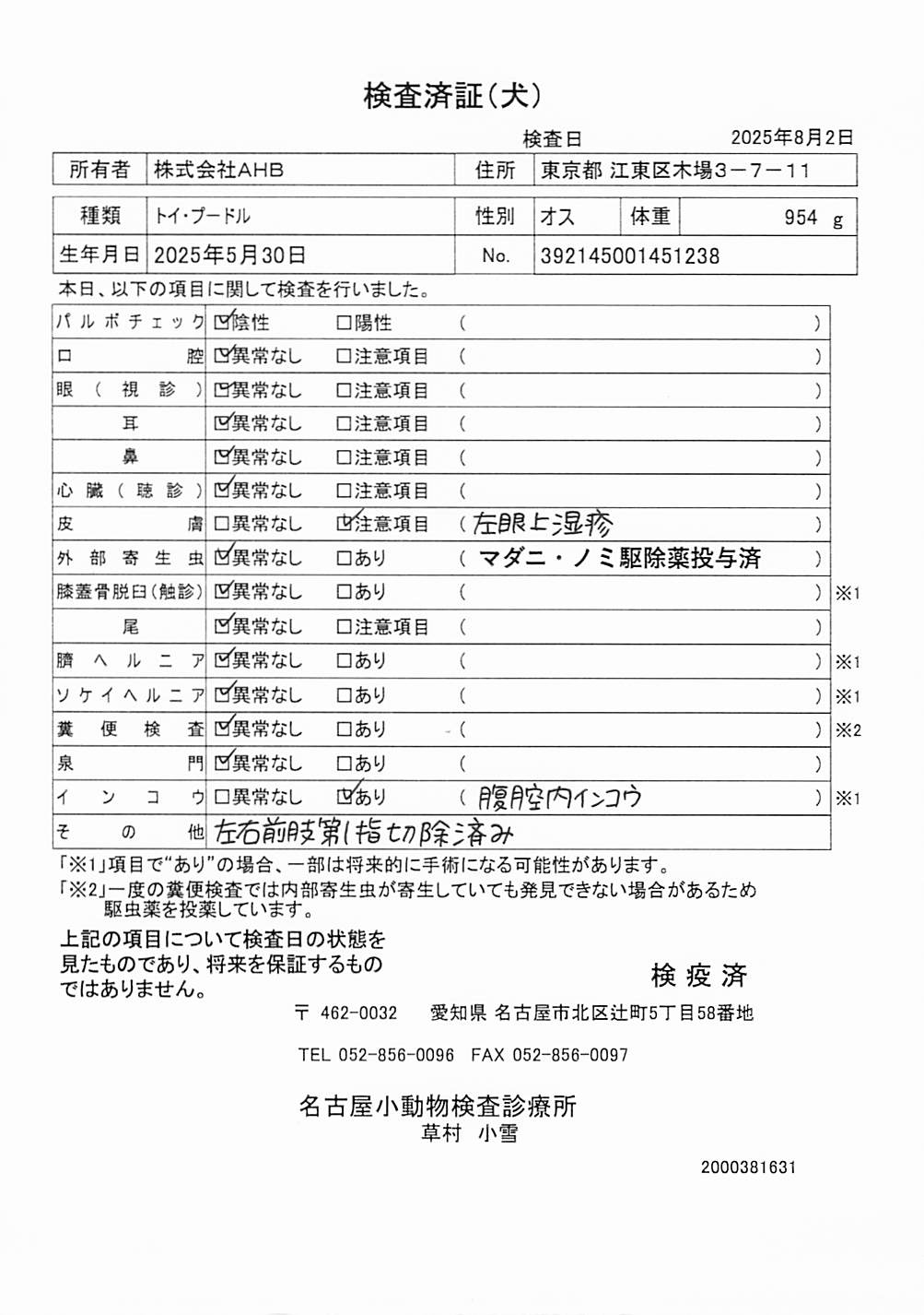 トイ・プードル