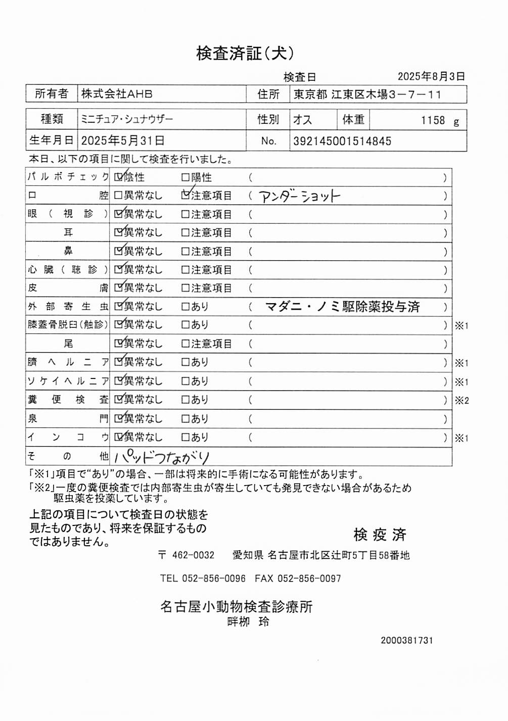 ミニチュア・シュナウザー