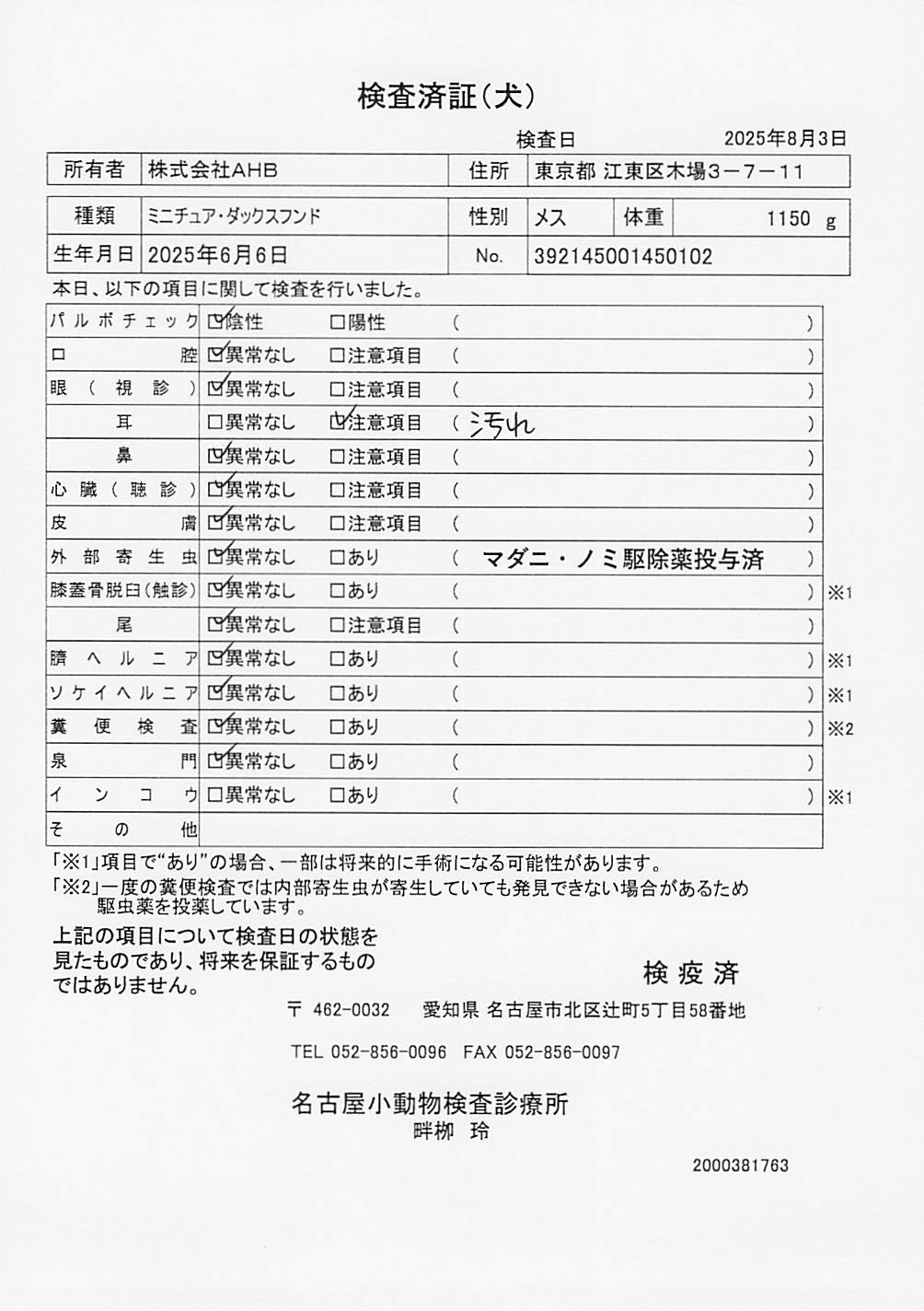 ミニチュア・ダックスフンド