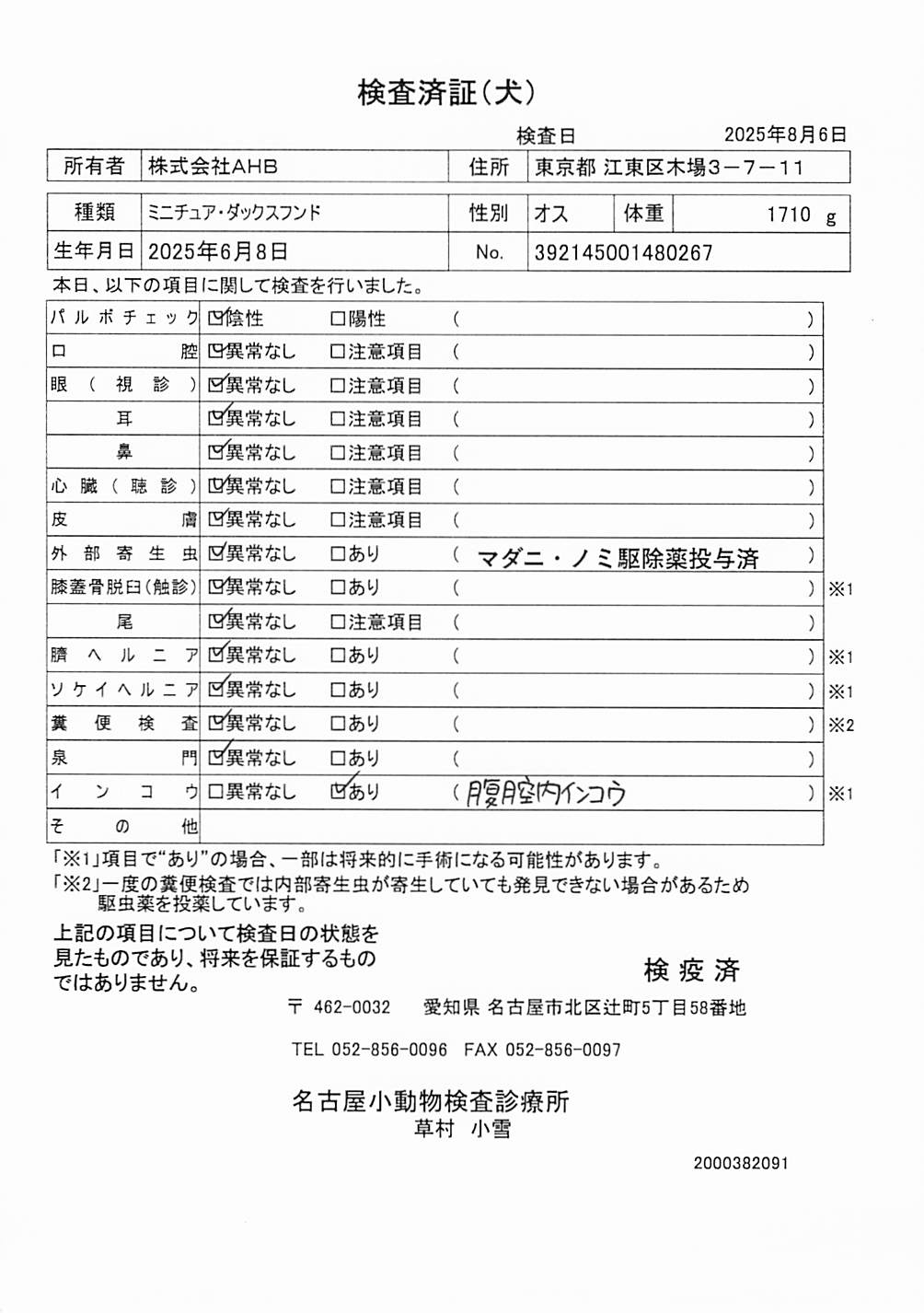 ミニチュア・ダックスフンド