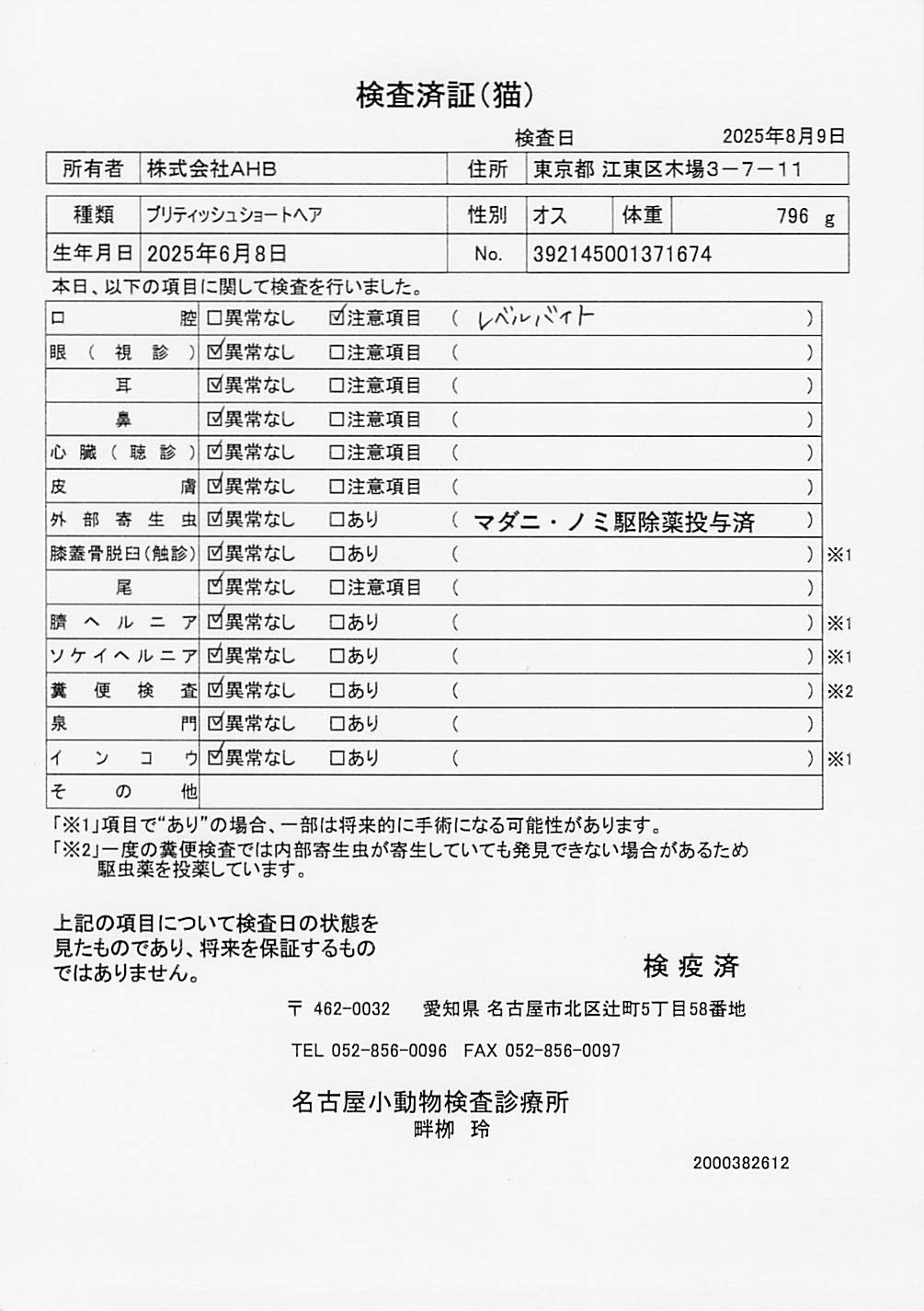 ブリティッシュショートヘア