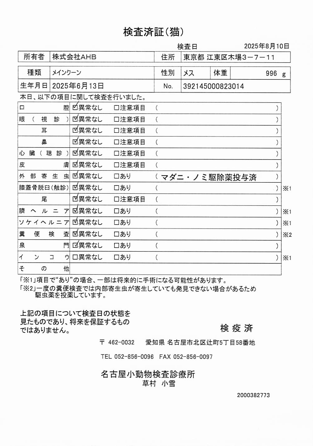 メインクーン