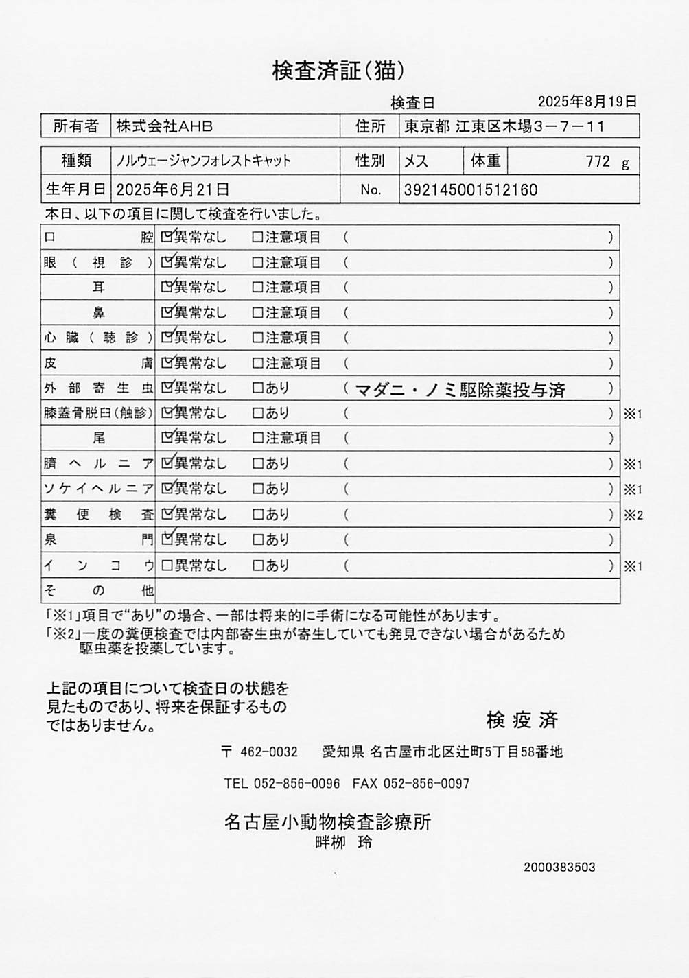 ノルウェージャンフォレストキャット