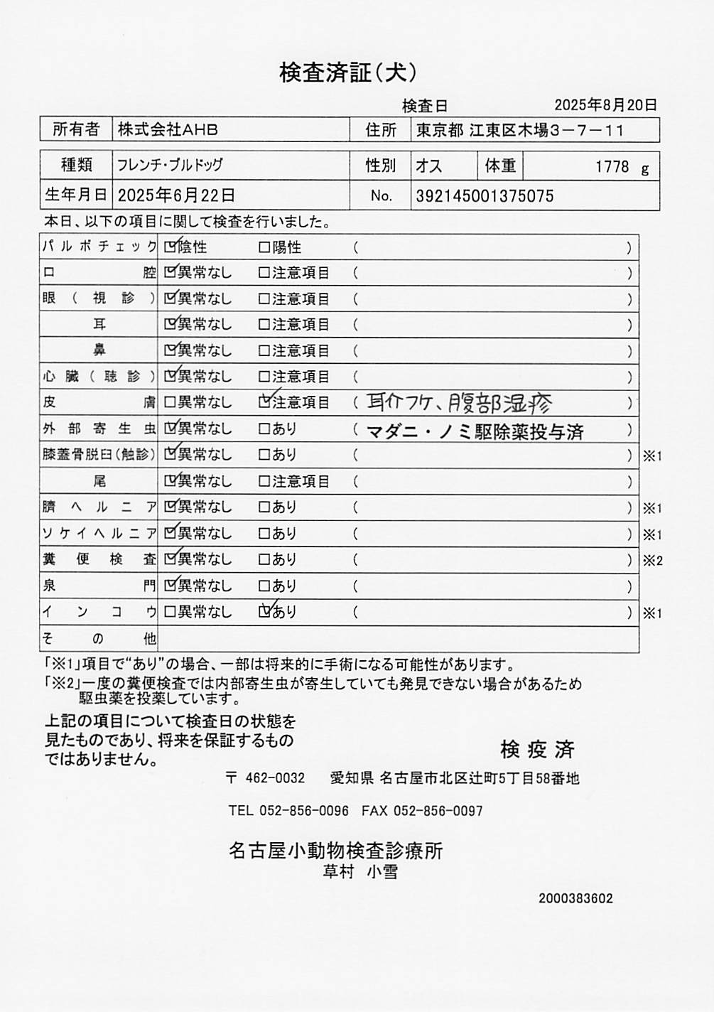フレンチ・ブルドッグ