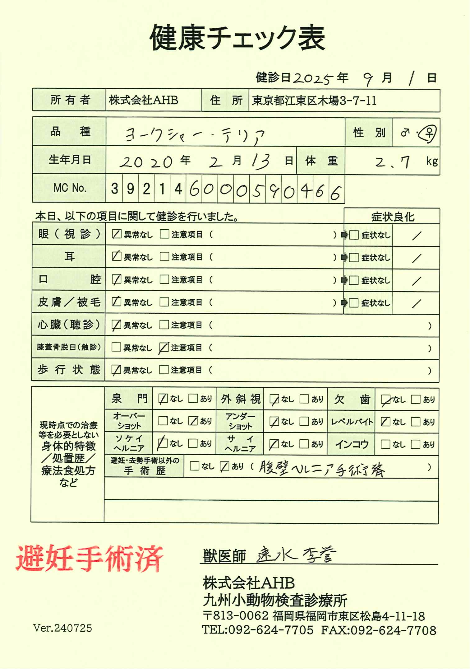 ヨークシャー・テリア