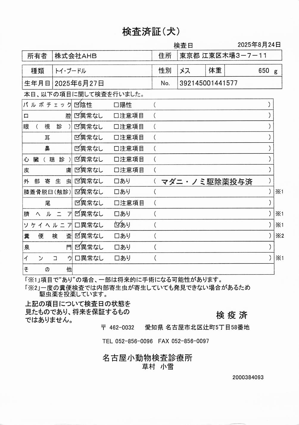 トイ・プードル