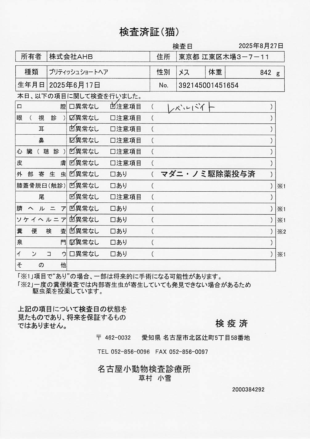 ブリティッシュショートヘア