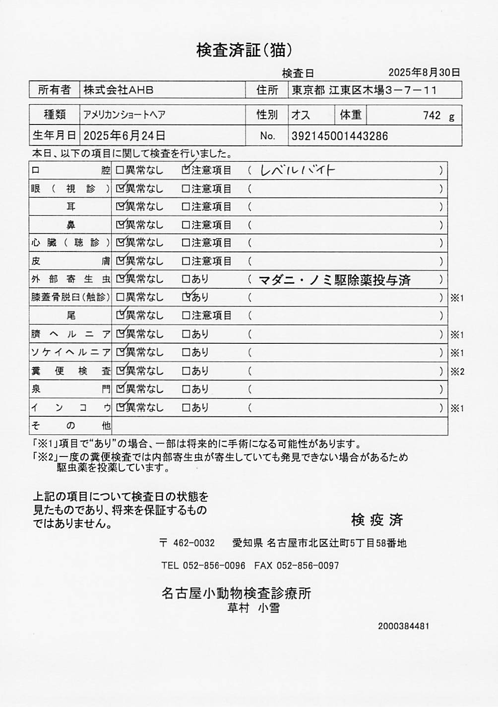 アメリカンショートヘア