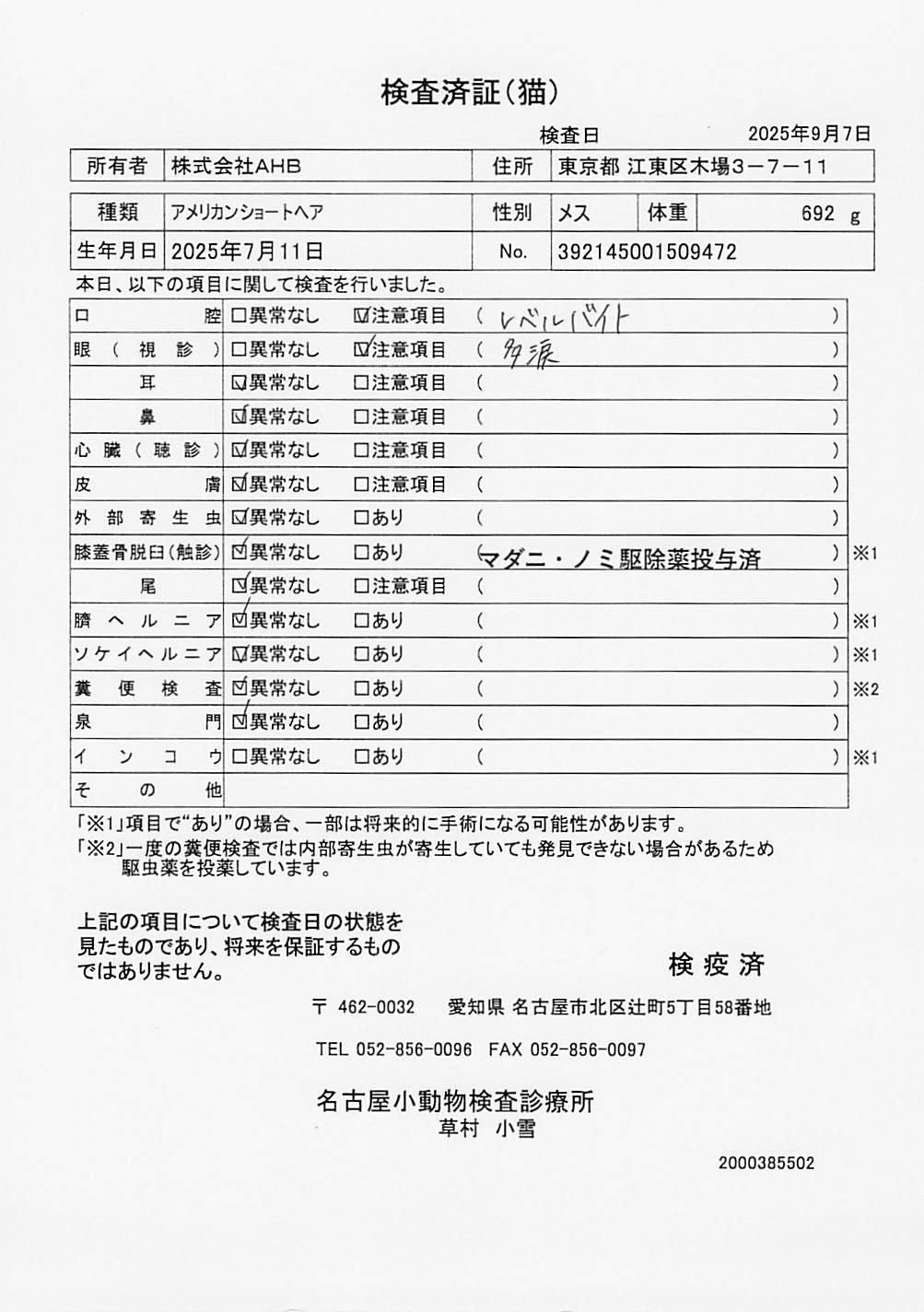 アメリカンショートヘア