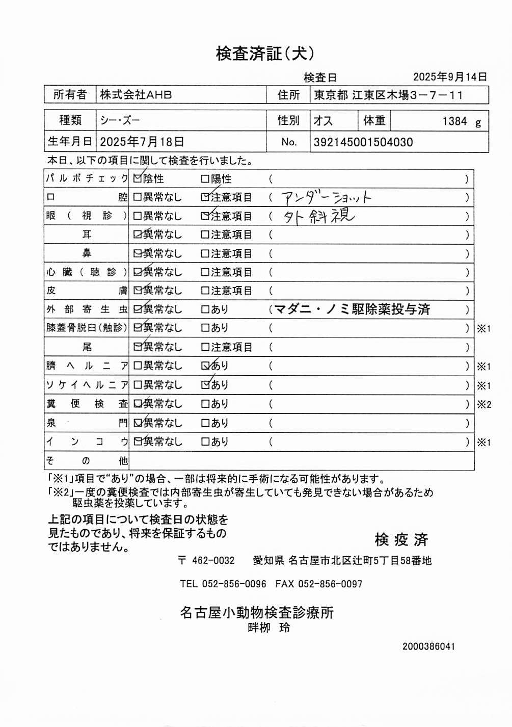 シー・ズー