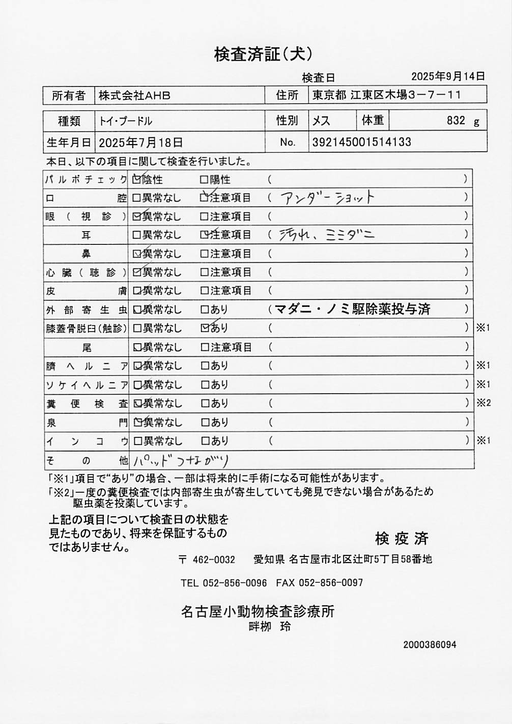 トイ・プードル