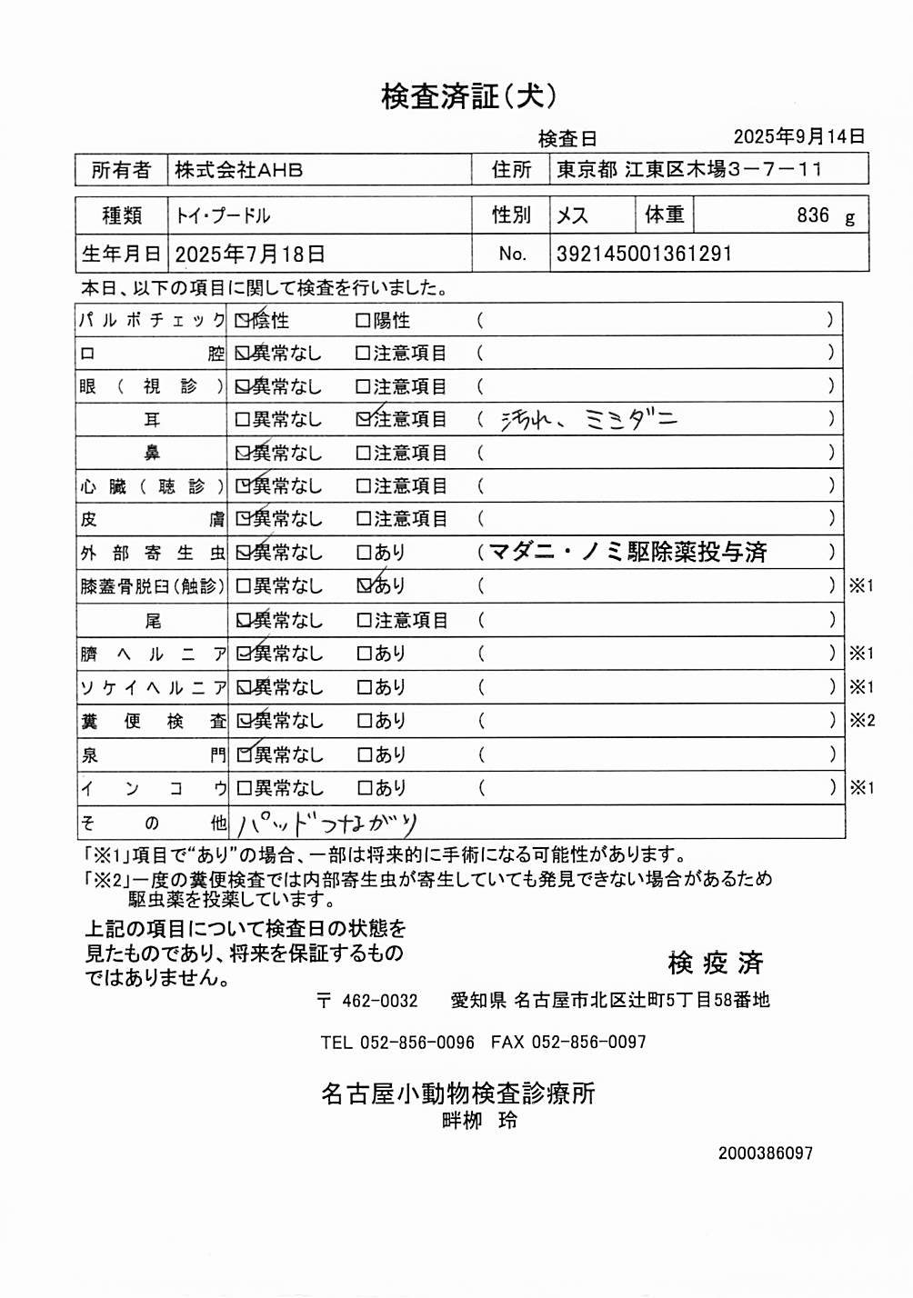 トイ・プードル
