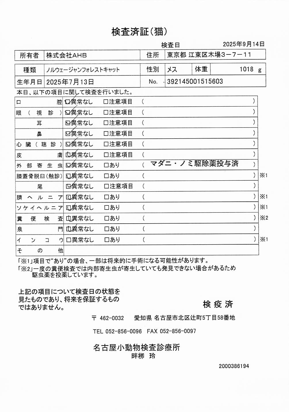 ノルウェージャンフォレストキャット