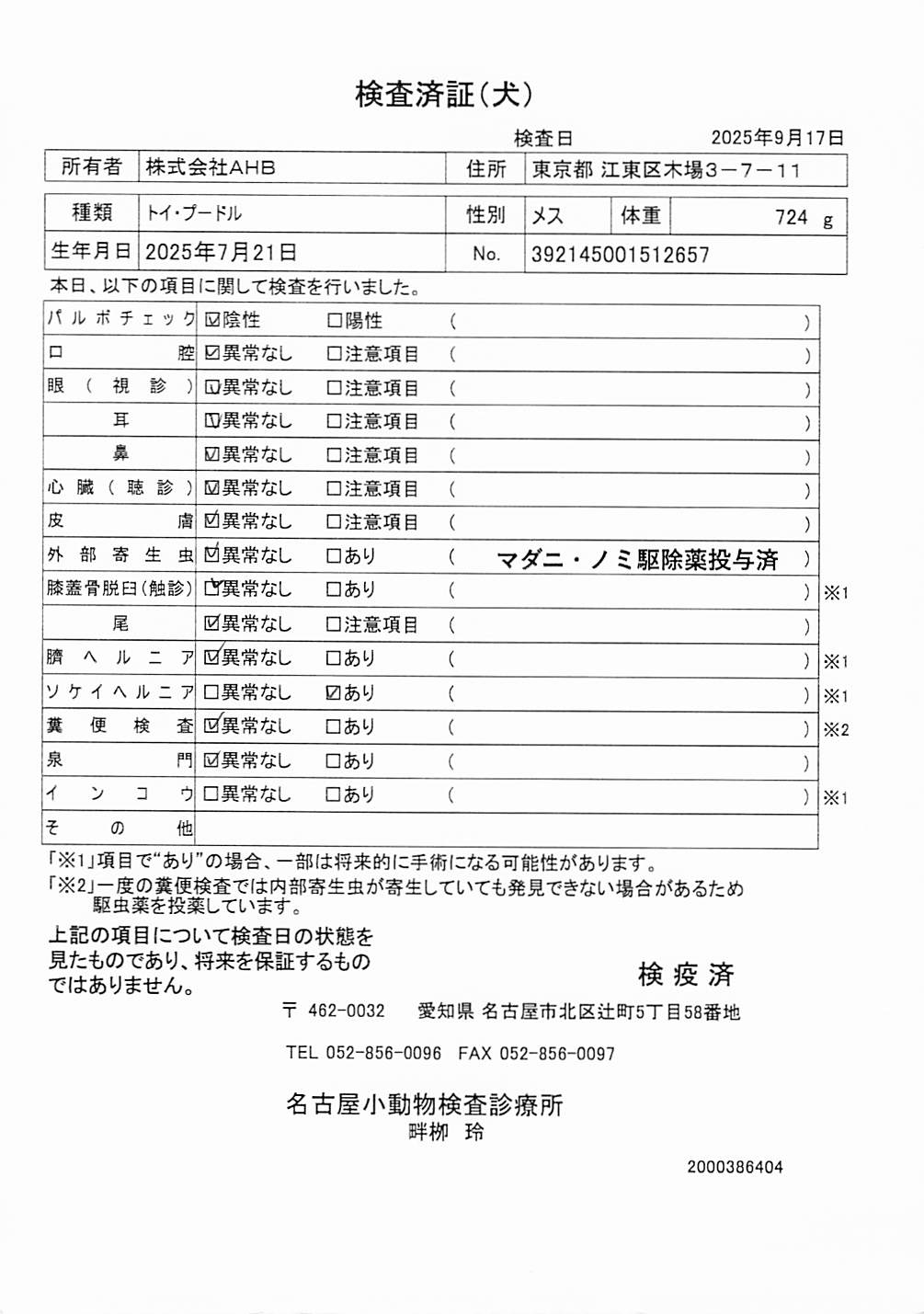トイ・プードル