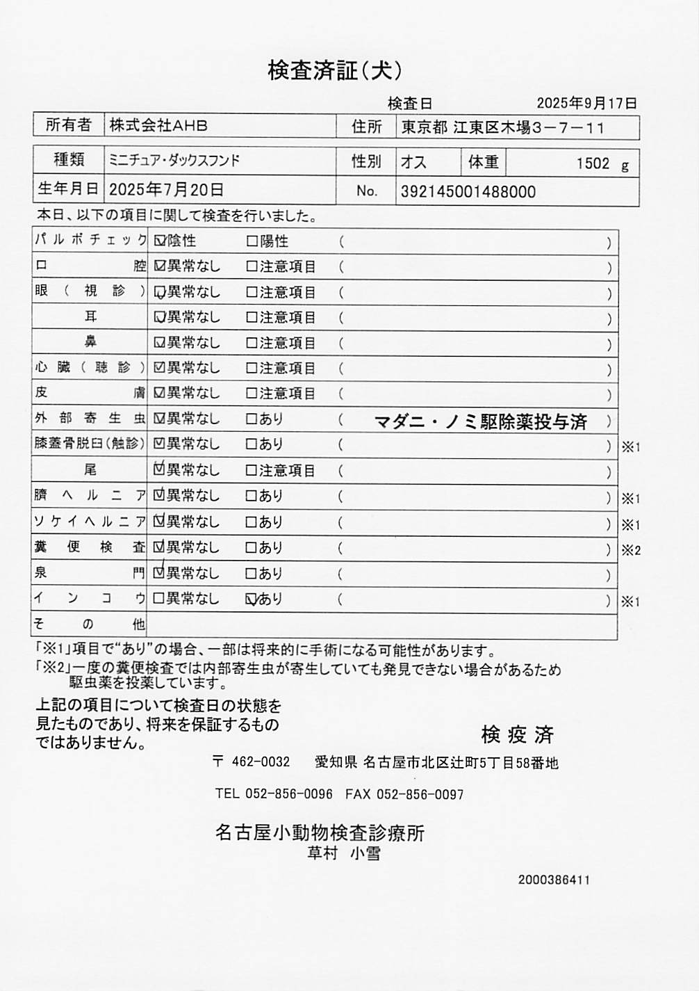 ミニチュア・ダックスフンド