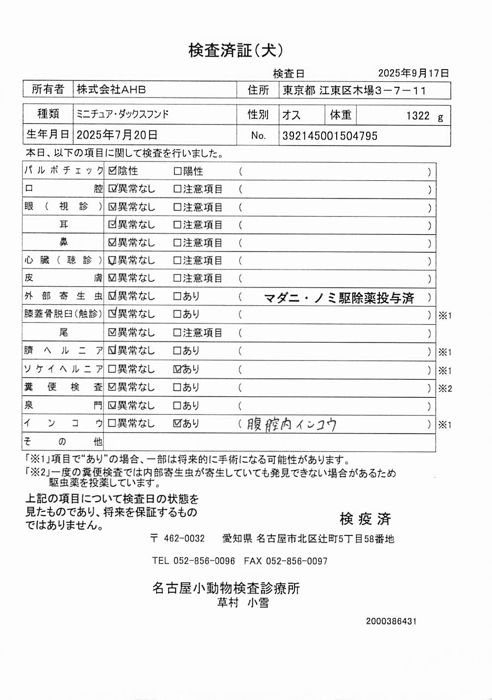 ミニチュア・ダックスフンド
