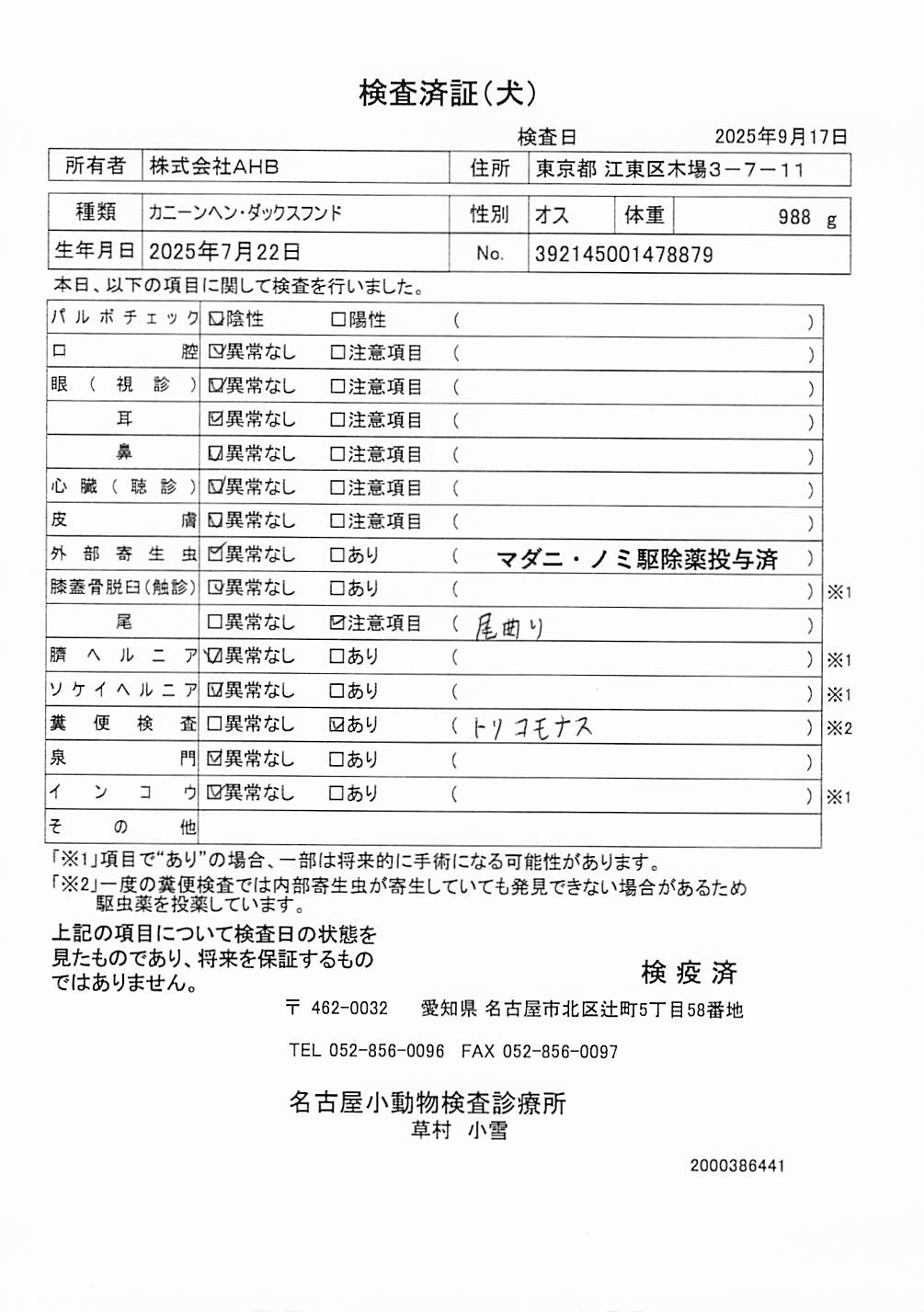 カニーンヘン・ダックスフンド