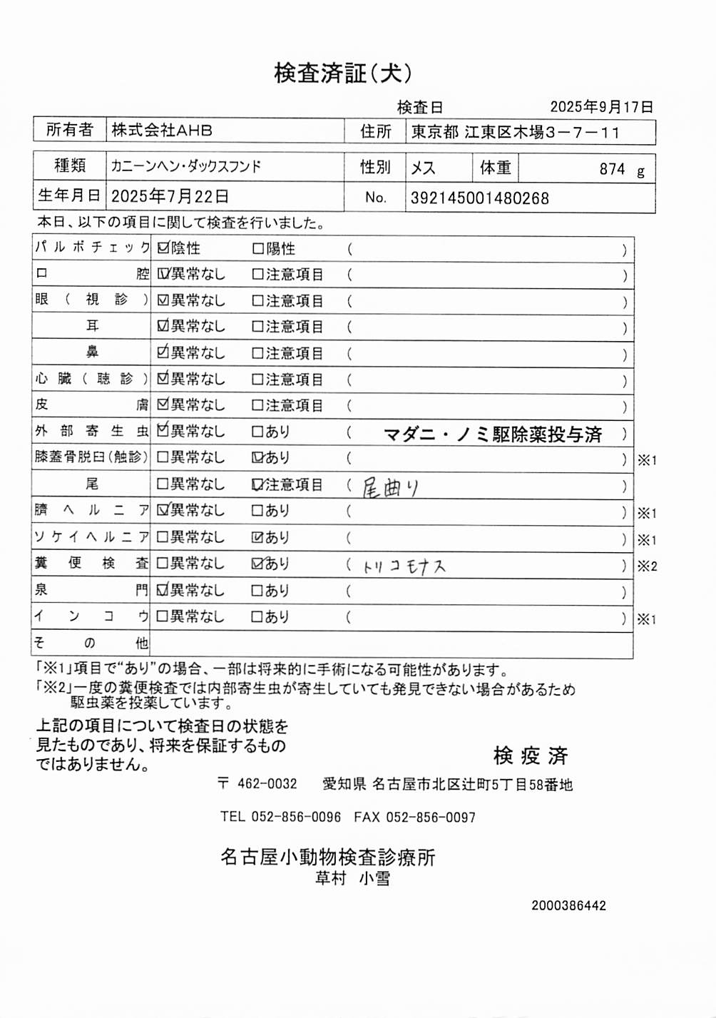 カニーンヘン・ダックスフンド