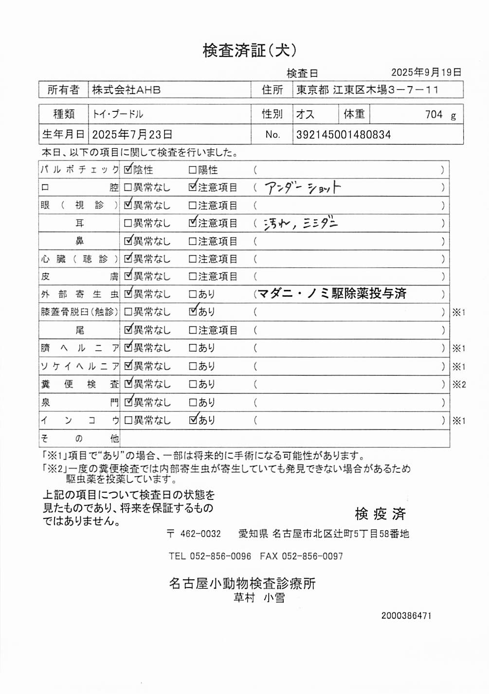 トイ・プードル