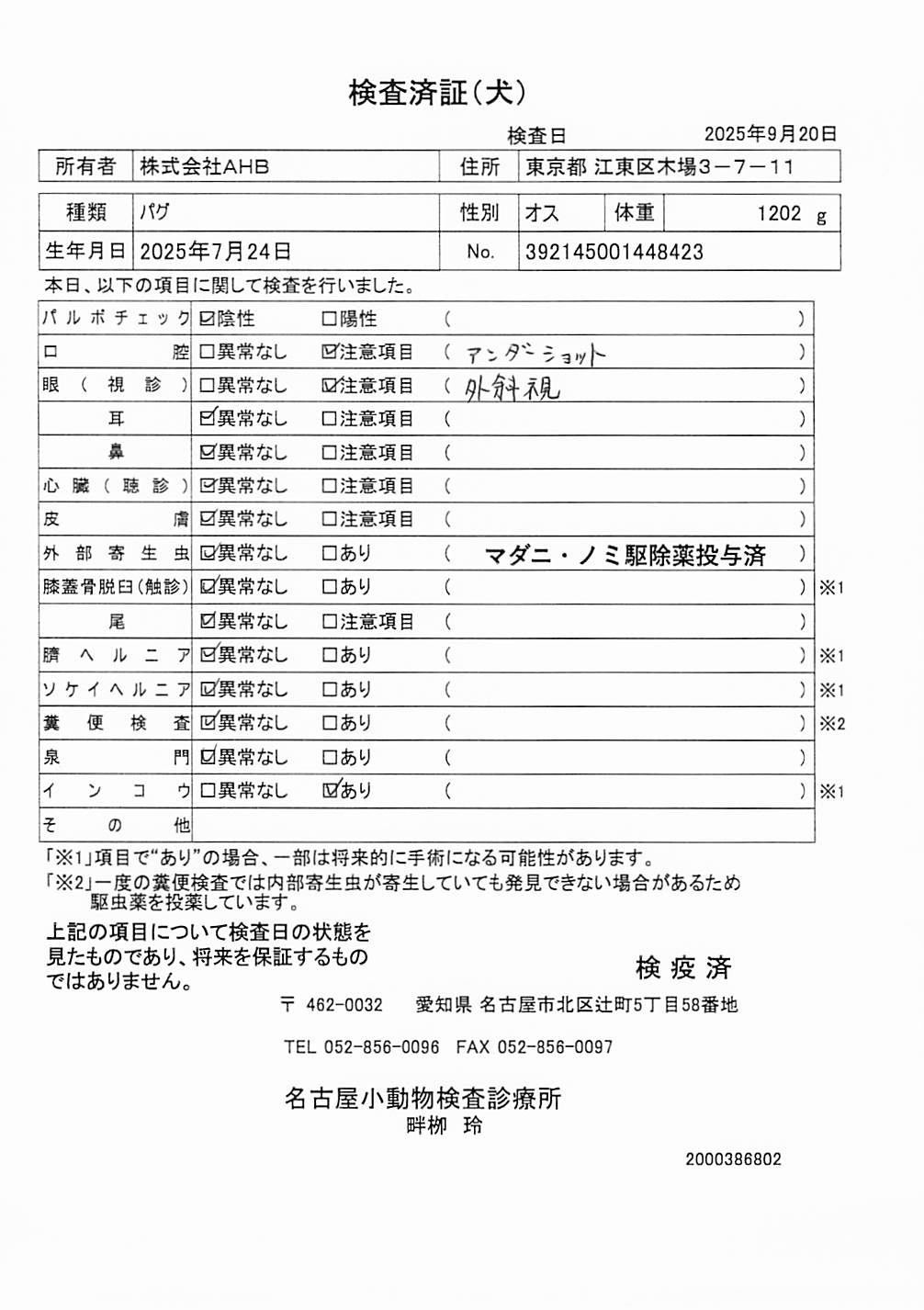 パグ