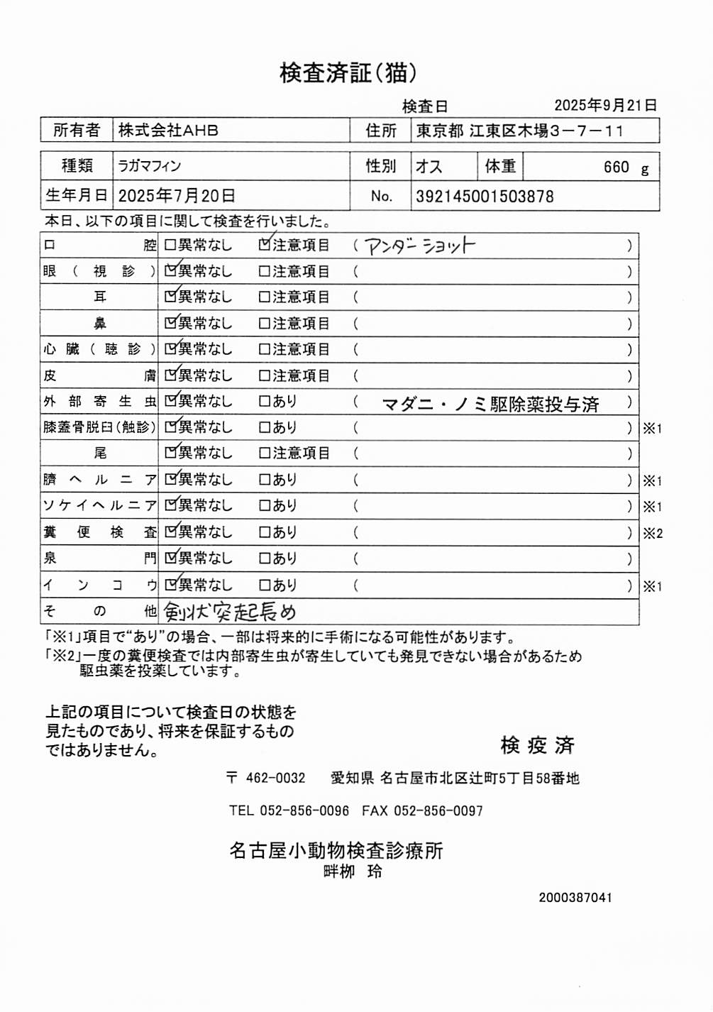 ラガマフィン