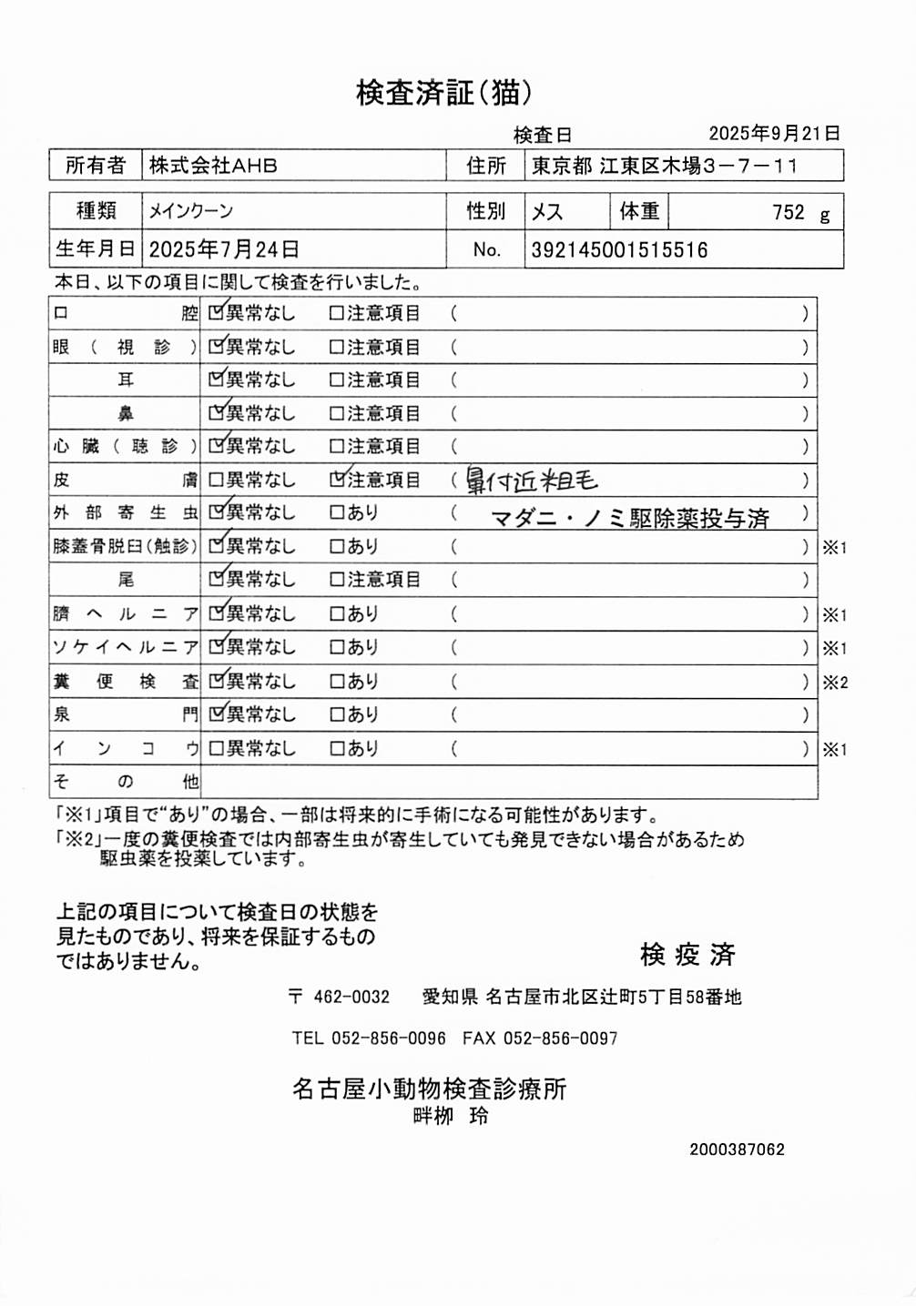 メインクーン