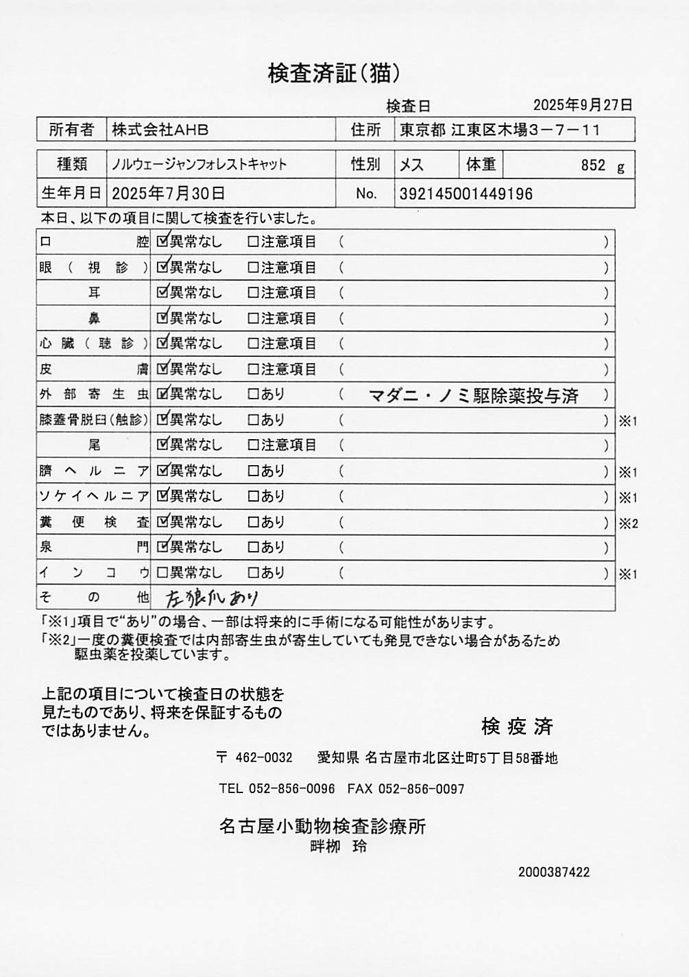 ノルウェージャンフォレストキャット