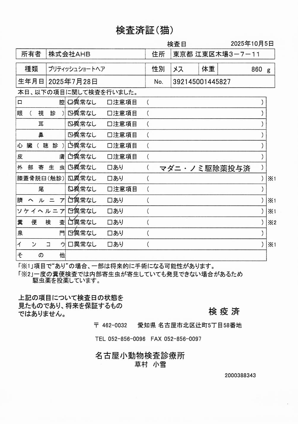 ブリティッシュショートヘア