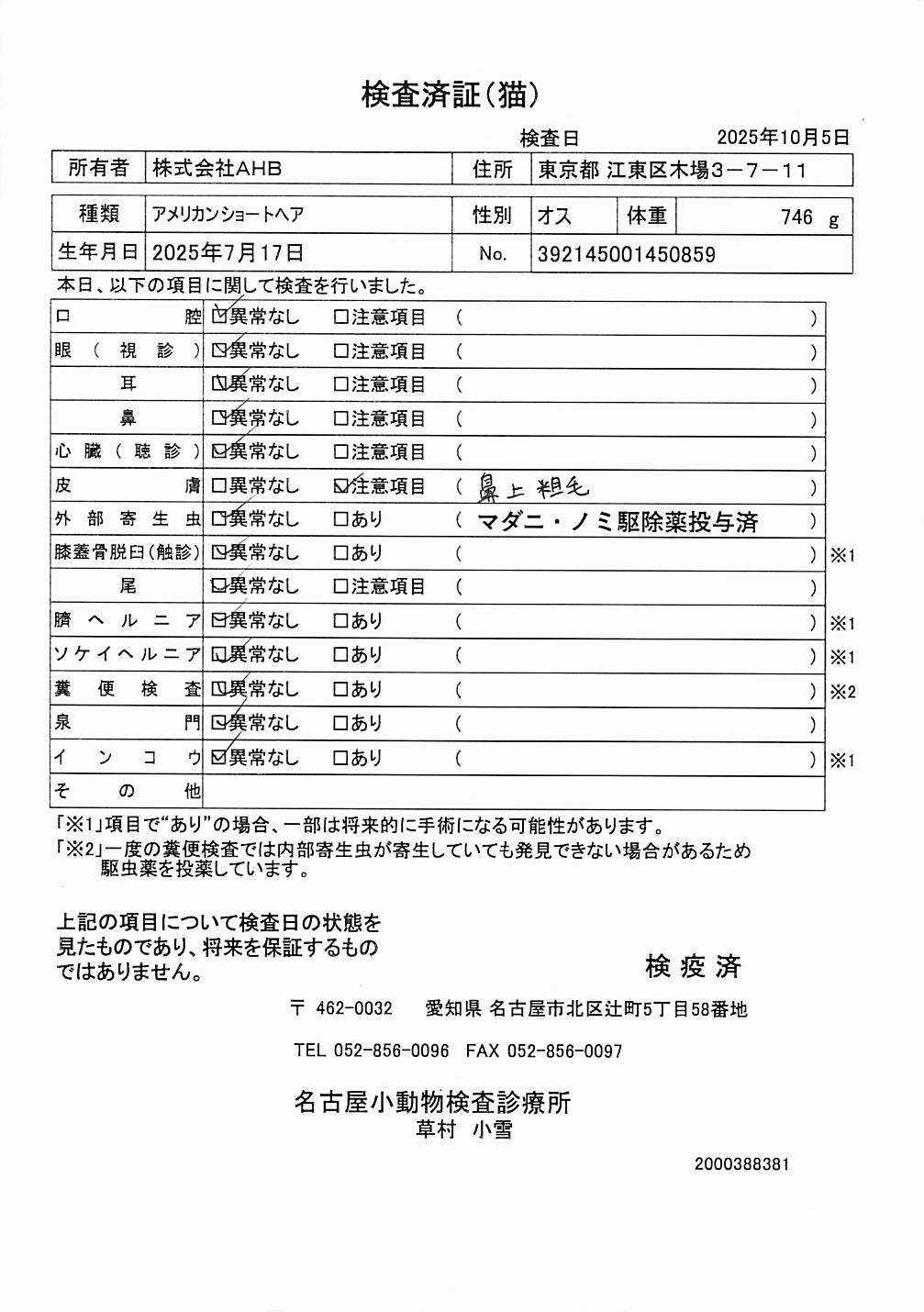 アメリカンショートヘア