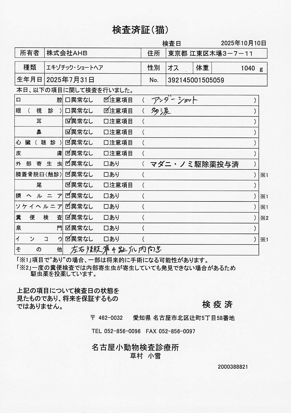 エキゾチック・ショートヘア