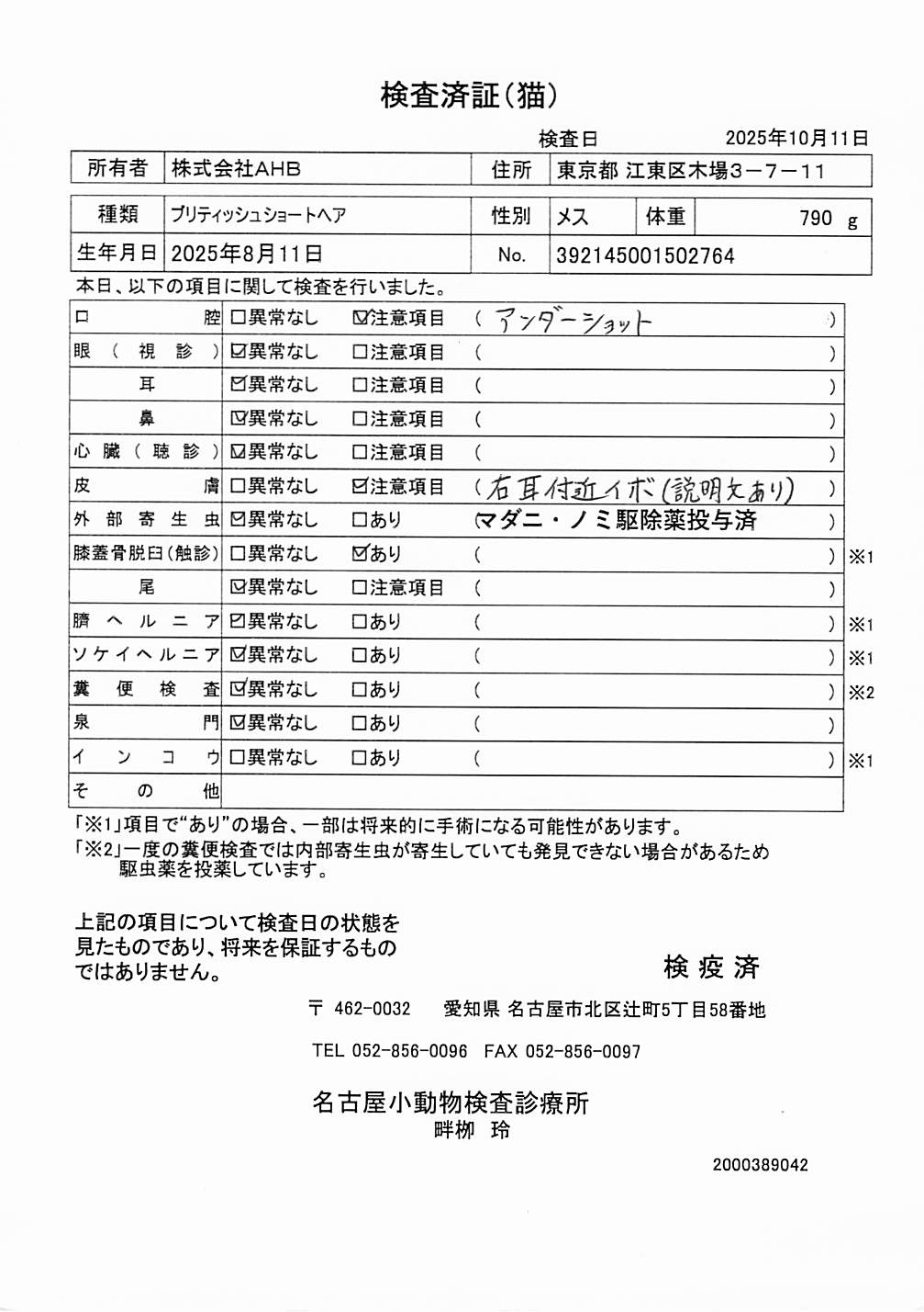 ブリティッシュショートヘア
