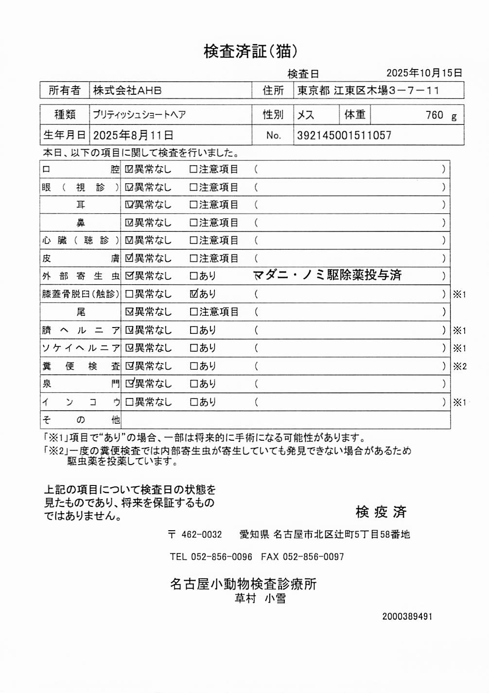 ブリティッシュショートヘア
