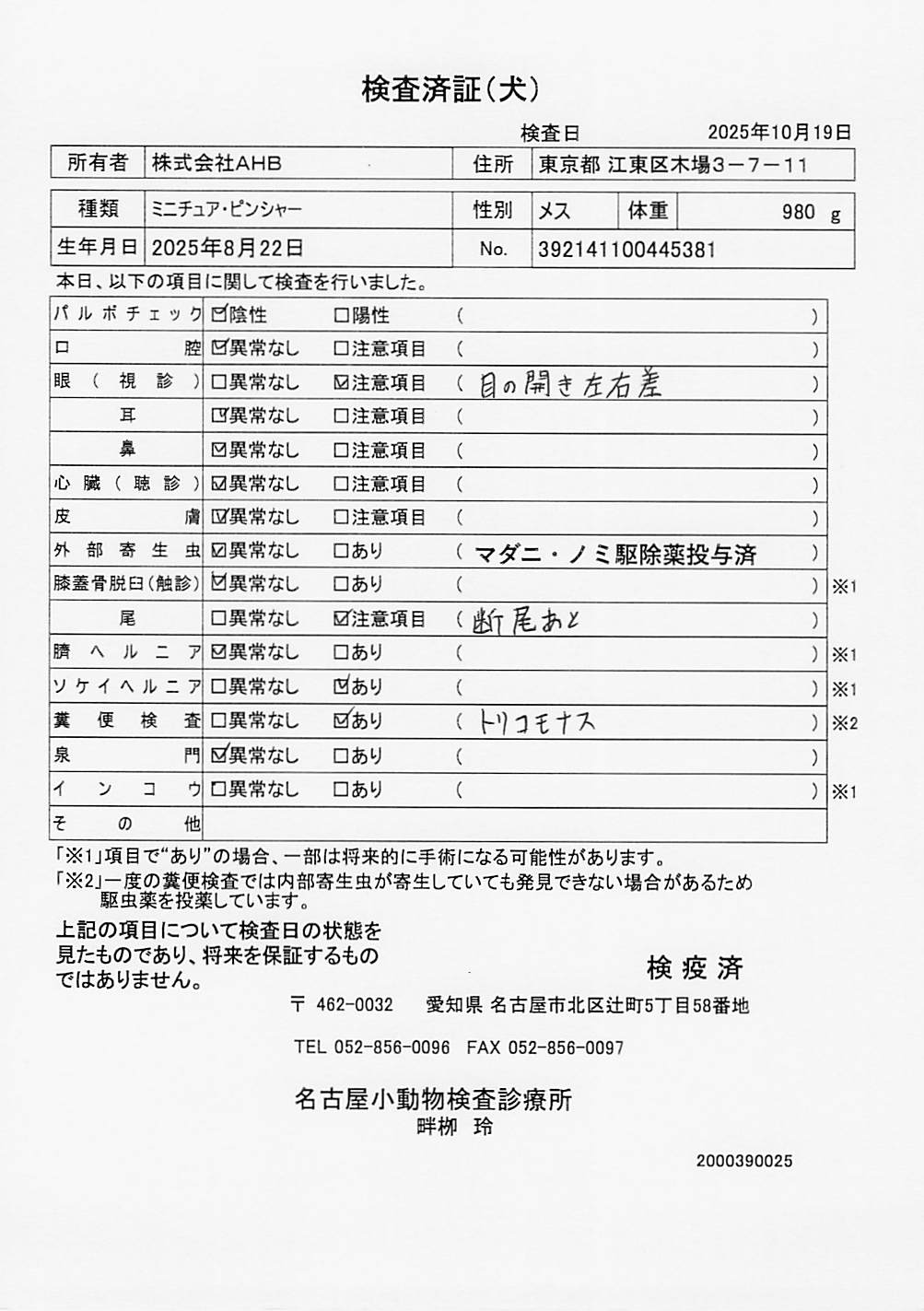 ミニチュア・ピンシャー